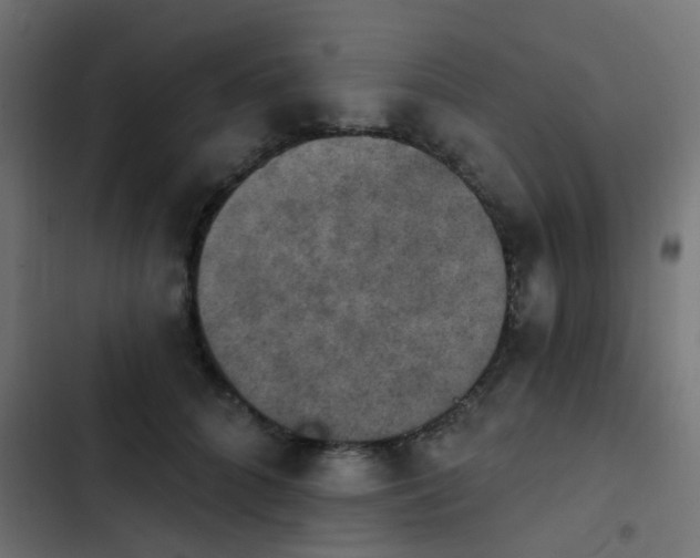 X0000103950704200809261749