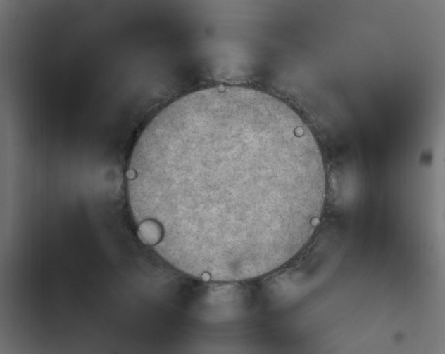 X0000103950705200809261749