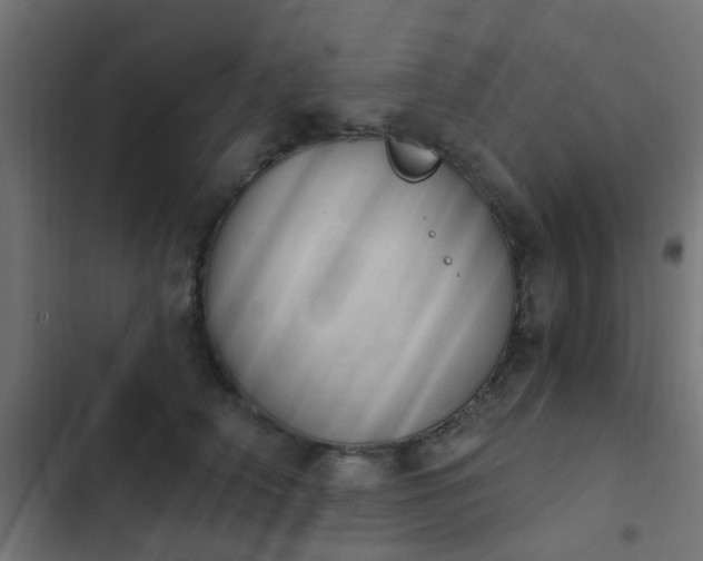 X0000103950706200809261749