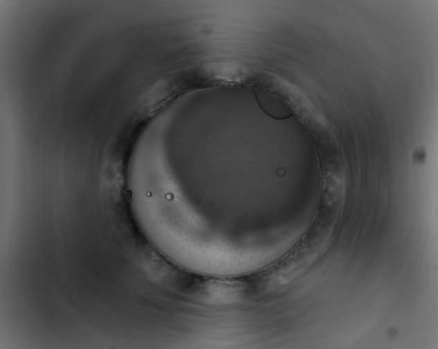 X0000103950707200809261749