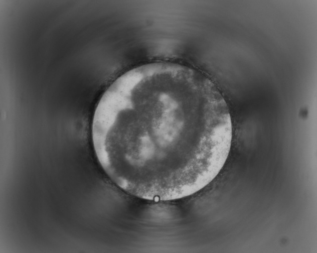 X0000103950708200809261749