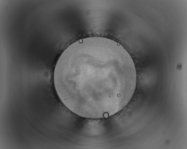 X0000103950709200809261748