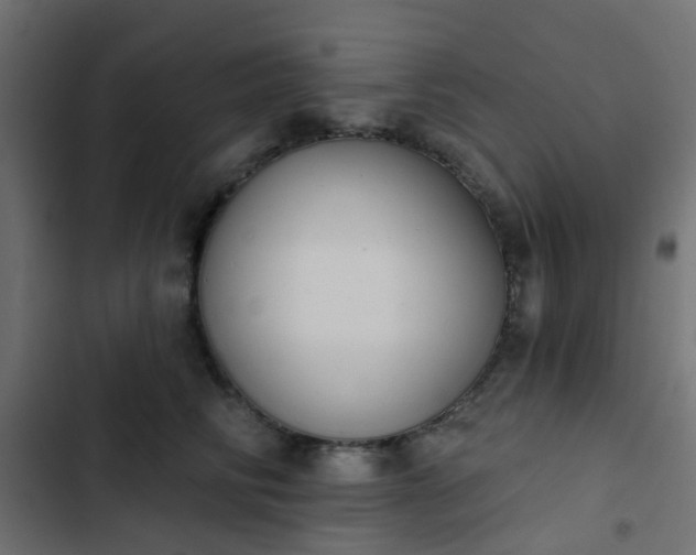 X0000103950710200809261748