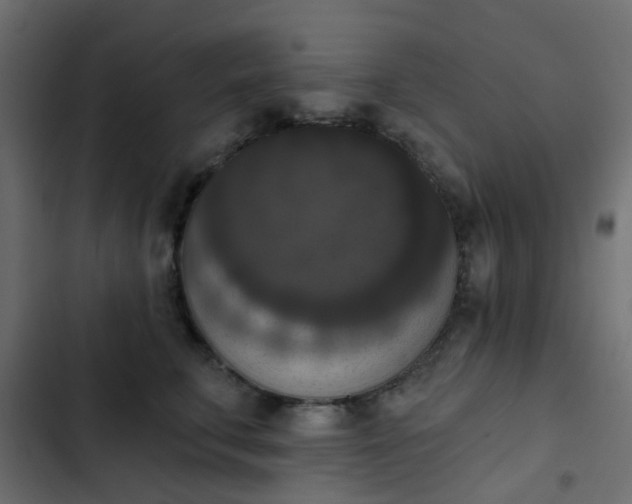 X0000103950711200809261748