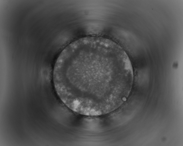 X0000103950712200809261748