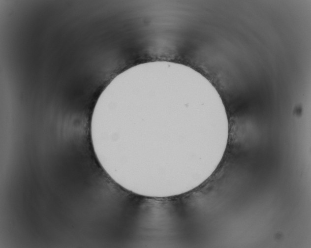 X0000103950713200809261748