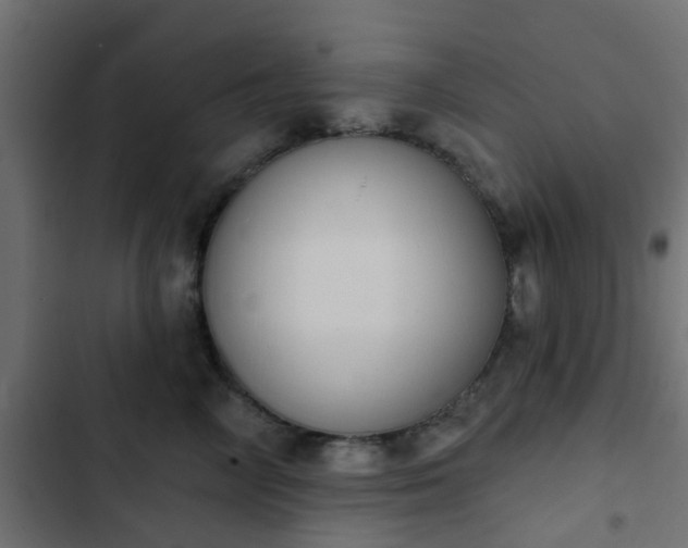 X0000103950714200809261748