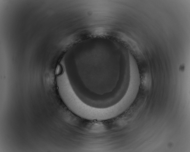 X0000103950715200809261748