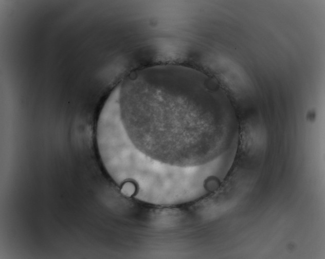 X0000103950716200809261748