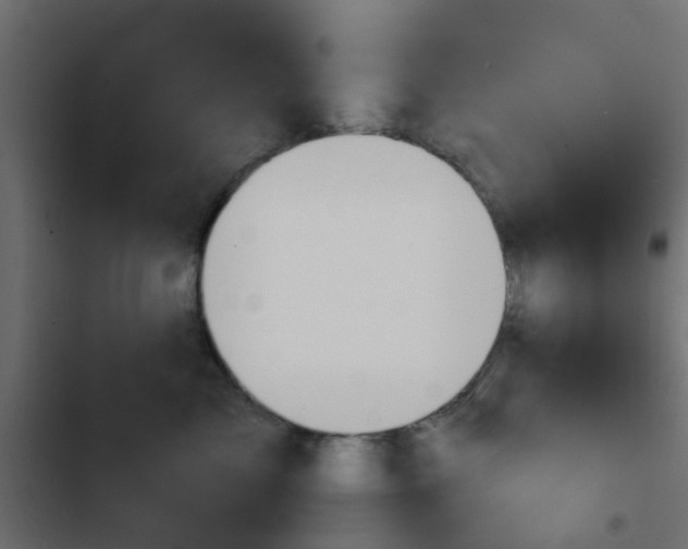 X0000103950717200809261748