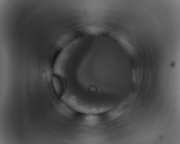 X0000103950718200809261748