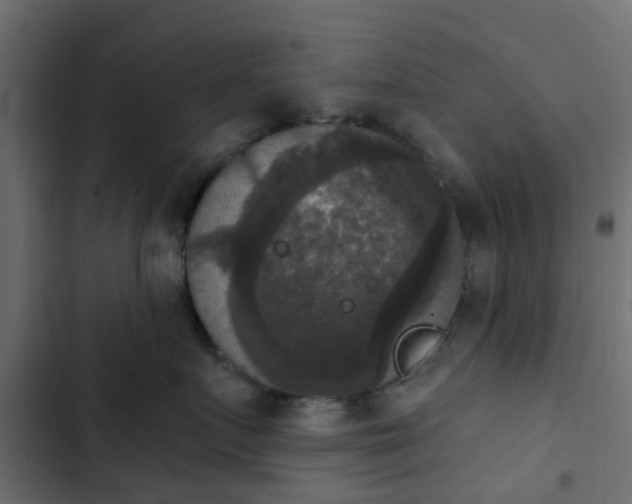 X0000103950719200809261748