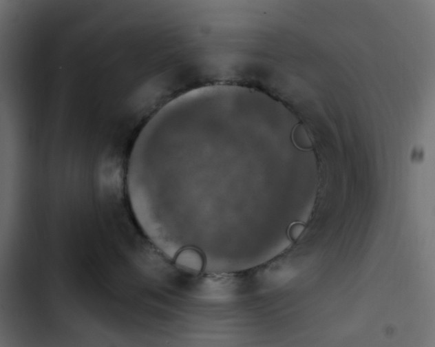 X0000103950720200809261748