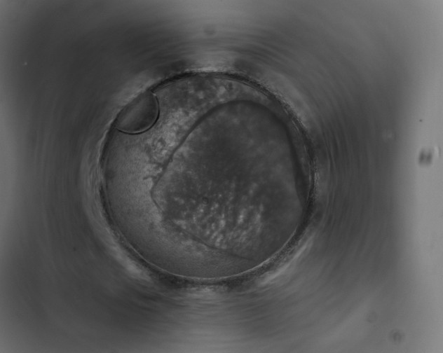 X0000103950721200809261748