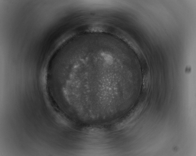 X0000103950722200809261748