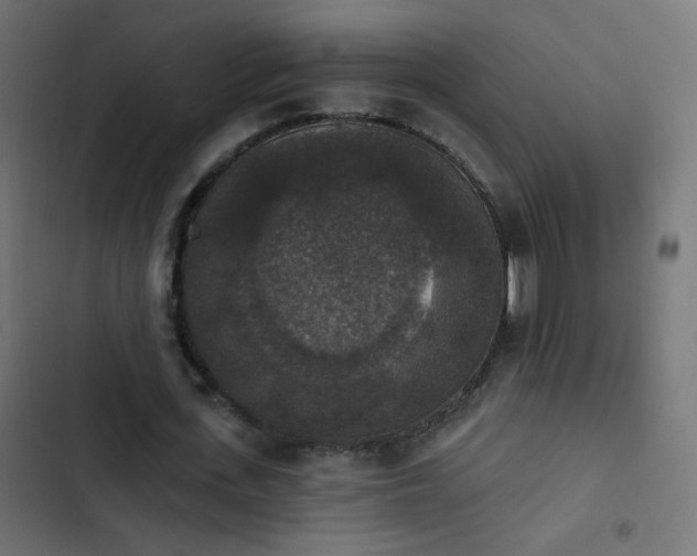 X0000103950723200809261748