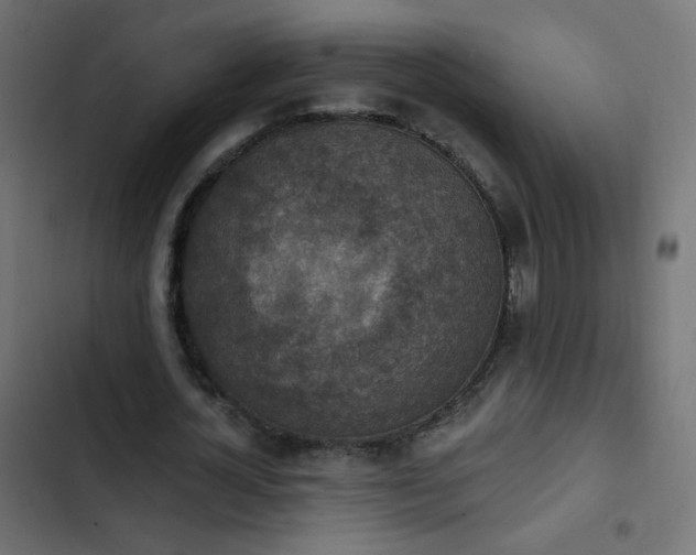 X0000103950724200809261748