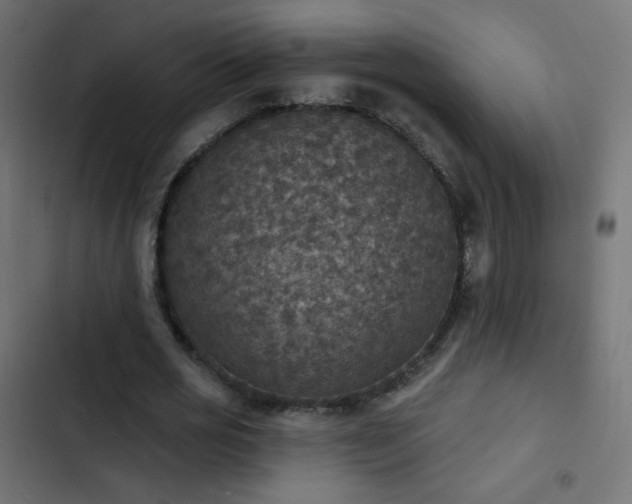 X0000103950725200809261748