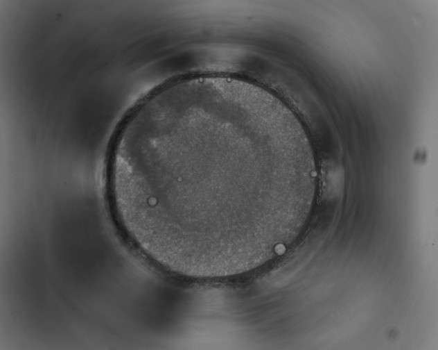 X0000103950726200809261748