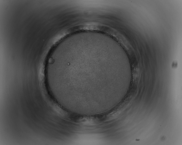 X0000103950727200809261748