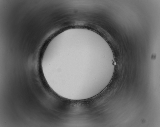 X0000103950728200809261748