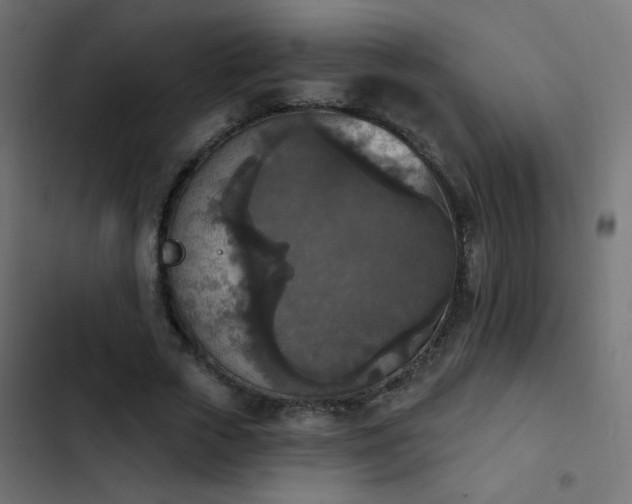 X0000103950729200809261748