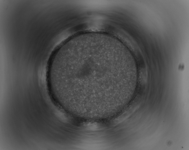 X0000103950730200809261748