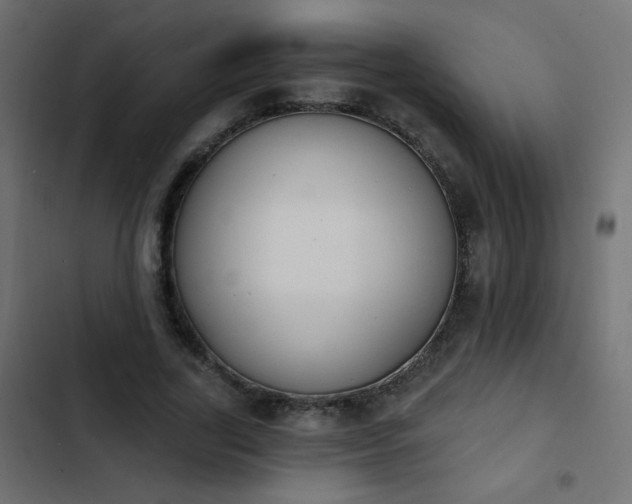 X0000103950731200809261748