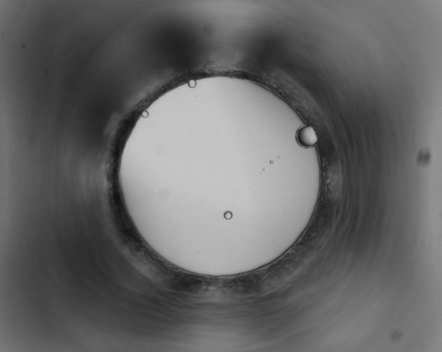 X0000103950732200809261748