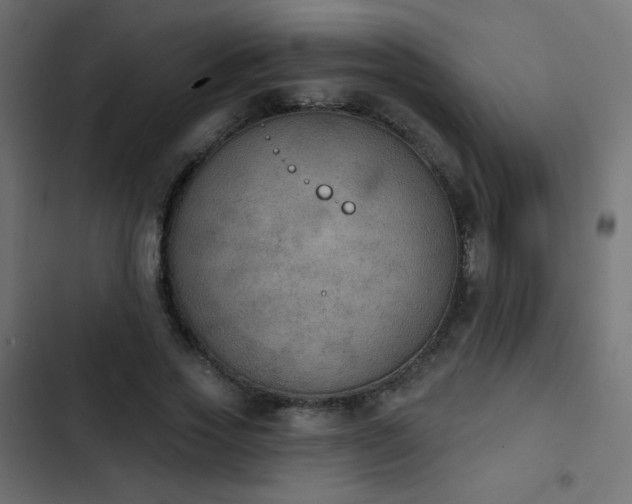 X0000103950733200809261748