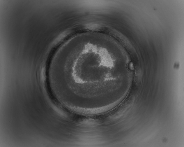 X0000103950734200809261748