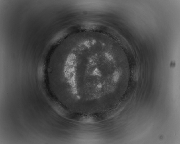 X0000103950735200809261748