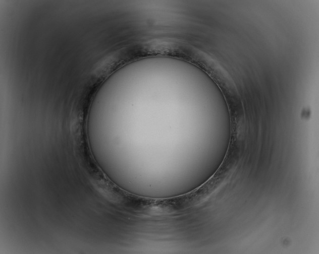 X0000103950737200809261748