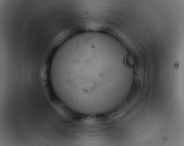 X0000103950738200809261748