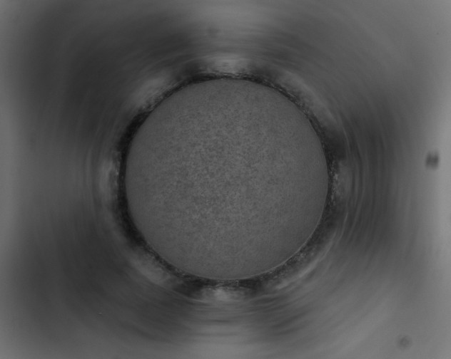 X0000103950739200809261748