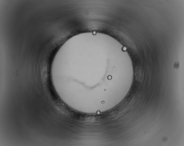 X0000103950740200809261748