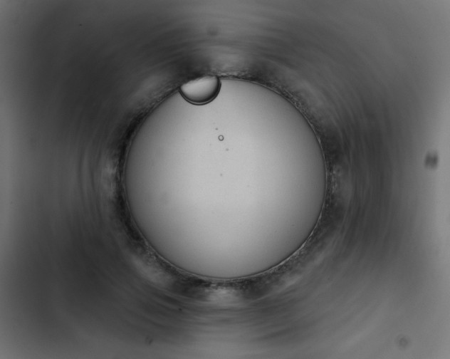 X0000103950741200809261748