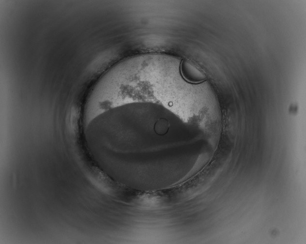 X0000103950742200809261748