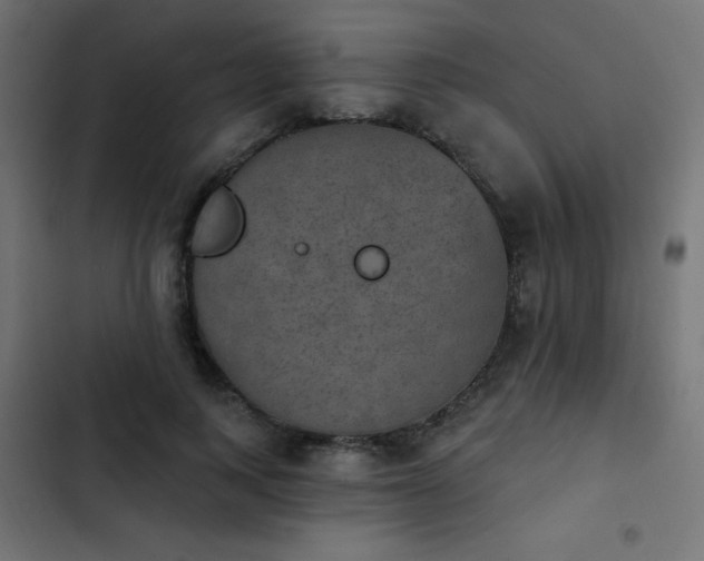 X0000103950743200809261748