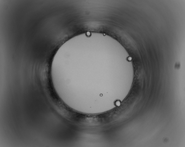 X0000103950744200809261748