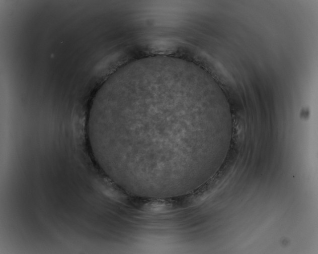 X0000103950745200809261748