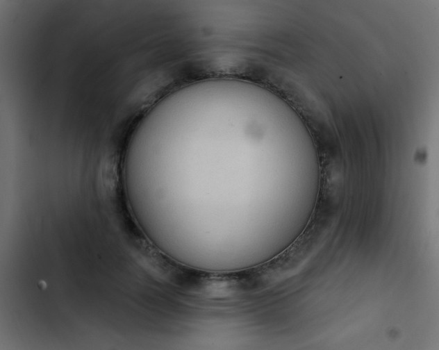 X0000103950746200809261748