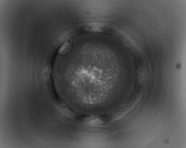 X0000103950747200809261748