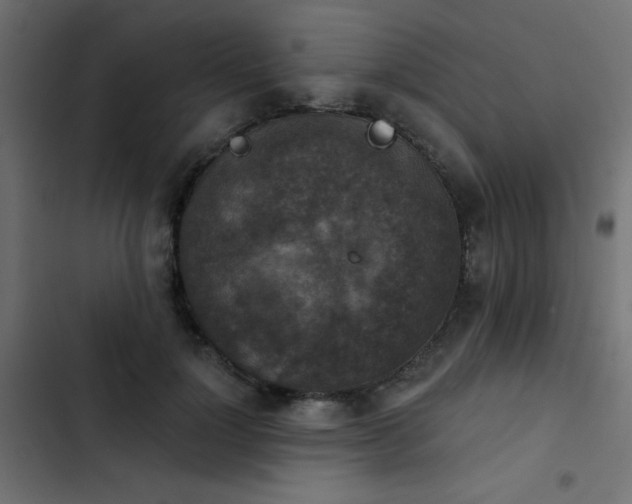 X0000103950748200809261748