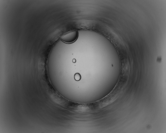 X0000103950749200809261748