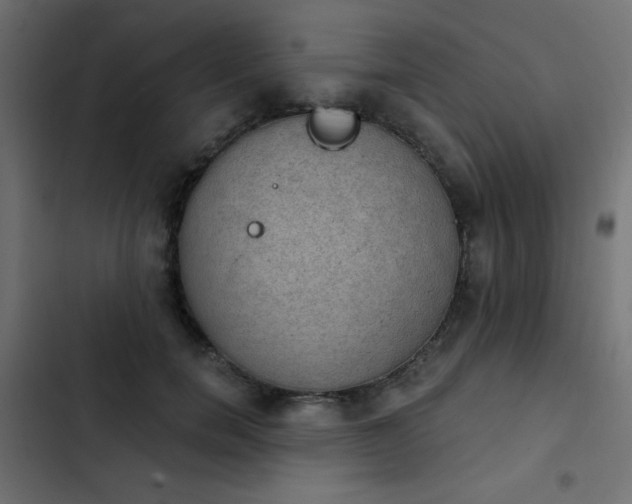 X0000103950750200809261748