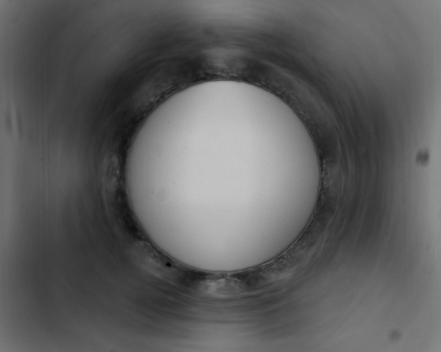 X0000103950752200809261748