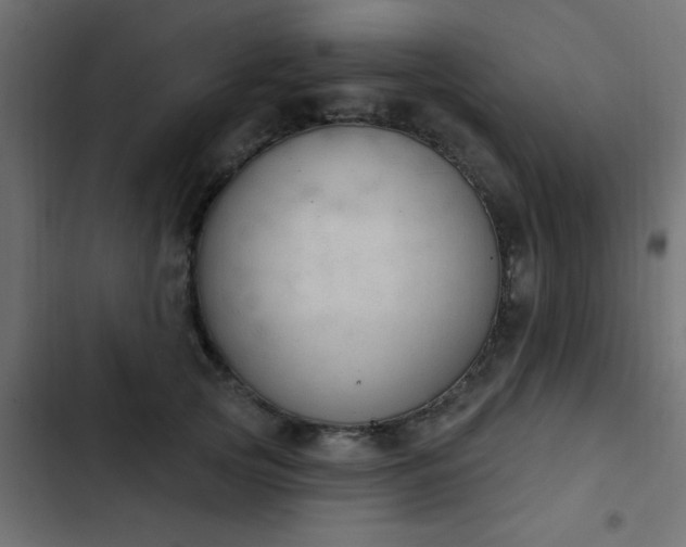 X0000103950753200809261748