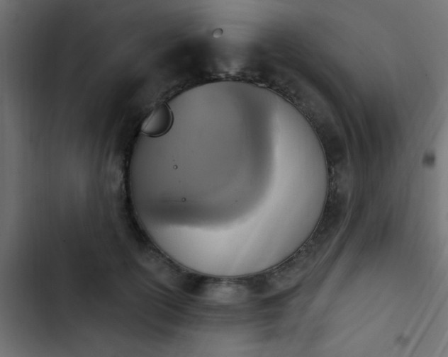 X0000103950754200809261748