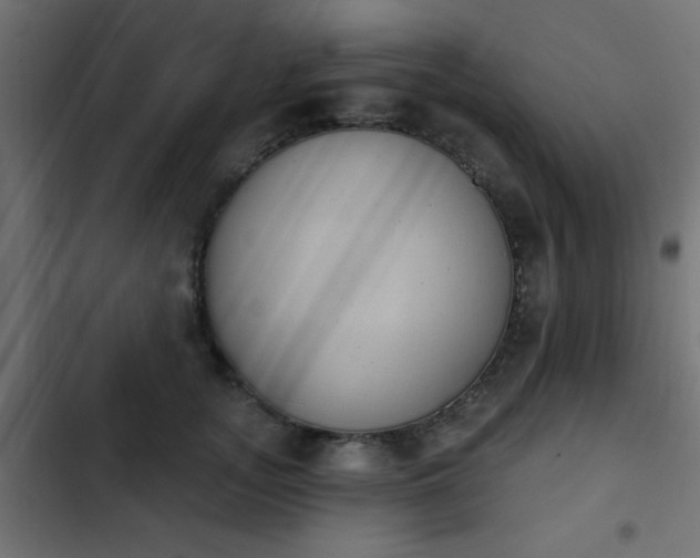 X0000103950755200809261748